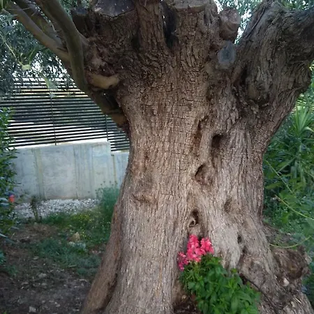 Διαμέρισμα Modern Near The Sea Lake *